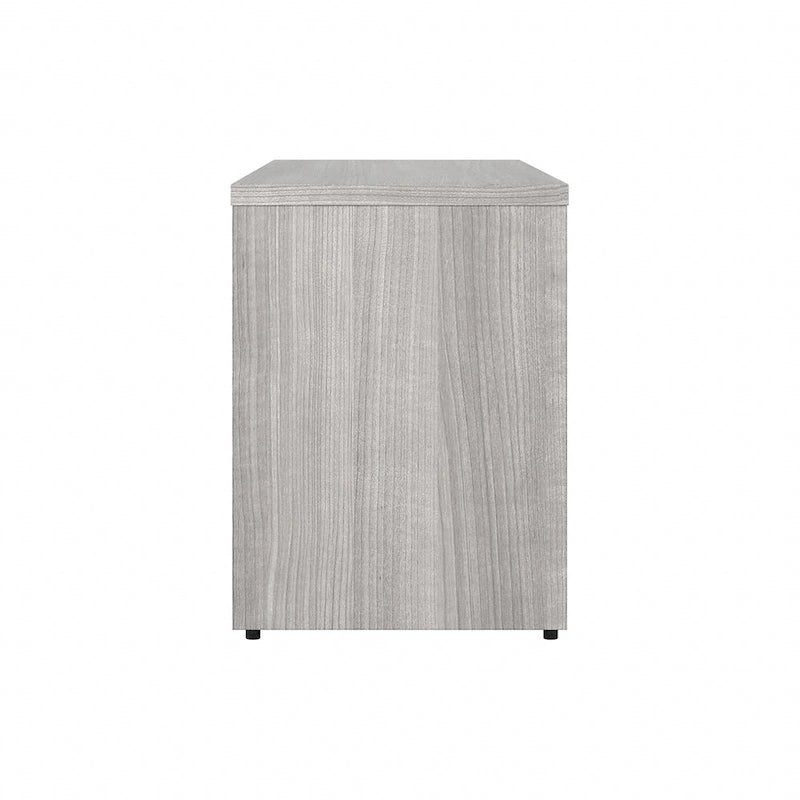 Low Storage Cabinet with Doors by